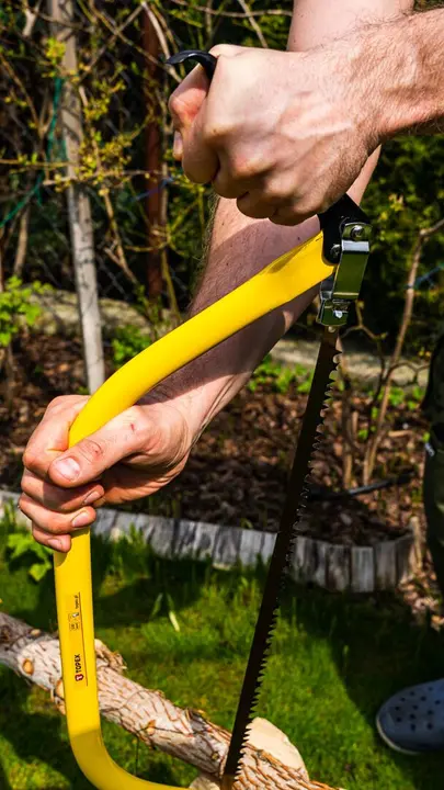 Yay testere bıçağı 610 mm, yaş ahşap için