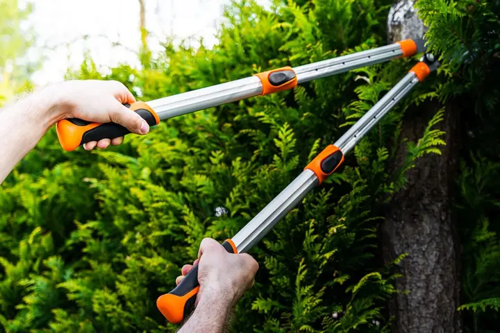Teleskopik örs tipi budama makası 670 mm, 42 mm'ye kadar kesim çapı, baskı gücünü %40 artıran dişli