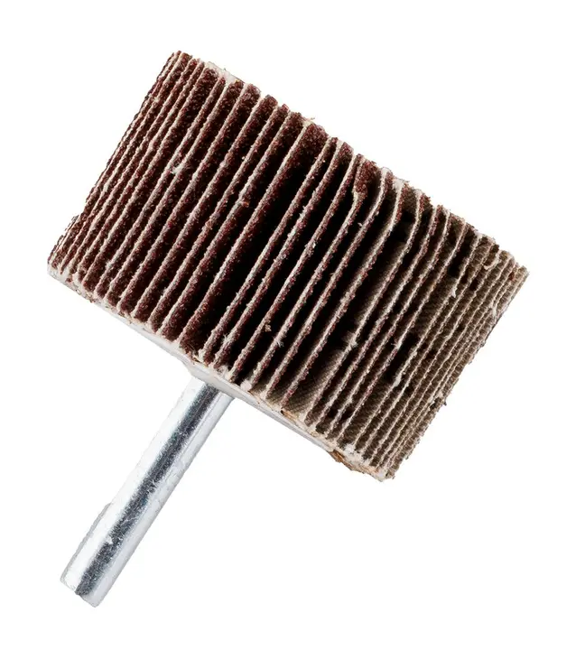 Saplı flap disk 50 x 30 x 6 mm, P